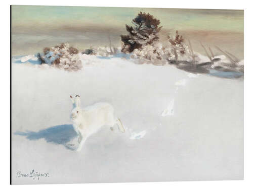 Alumiinitaulu Winter landscape at Gardesgard