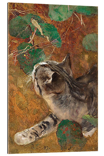 Quadro em plexi-alumínio Cat