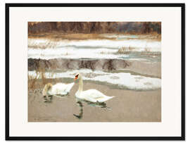 Gerahmter Kunstdruck Schwäne