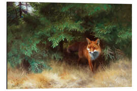 Magnettafel Fuchs, der sich unter einer Fichte versteckt