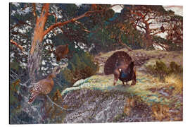 Magnettafel  Tjäderlek im Morgengrauen