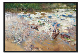 Gerahmter Kunstdruck Wildenten