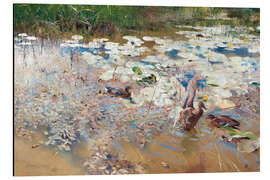 Magnettafel Wildenten