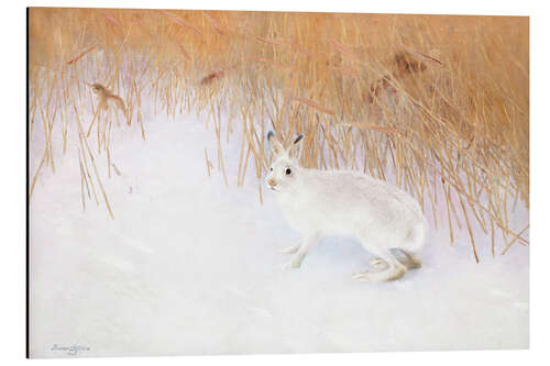 Tableau en aluminium Lièvre dans un paysage d'hiver