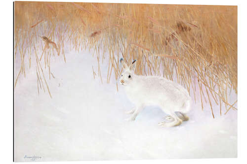 Gallery print Hare In A Winterlandscape