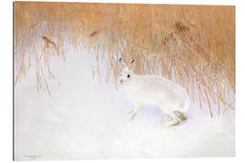 Gallery Print Hase in einer Winterlandschaft