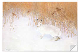 Naklejka na ścianę Hare In A Winterlandscape