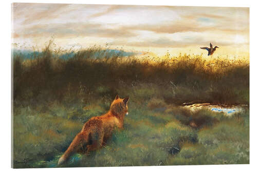 Acrylic print Fox and duck