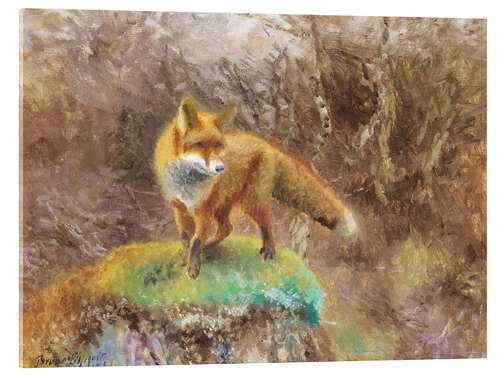 Acrylglas print Fox in an autumn landscape