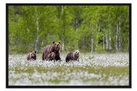 Gerahmter Kunstdruck Bärenfamilie