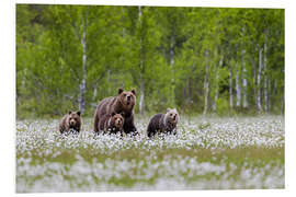 Foam board print Bear family