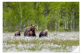 Selvklebende plakat Bear family