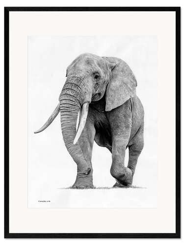 Innrammet kunsttrykk Elephant