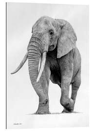 Gallery Print Elefant