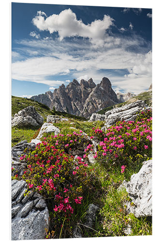 PVC-taulu Dolomites, Azaleas