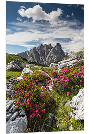 PVC-taulu Dolomites, Azaleas