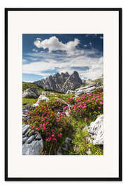 Gerahmter Kunstdruck Dolomiten - Azaleen