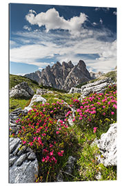 Gallery print Dolomites, Azaleas