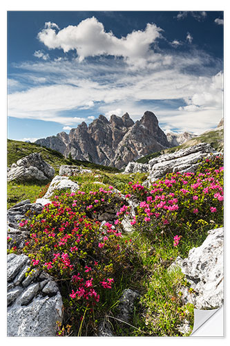 Sticker mural Azalées dans les Dolomites