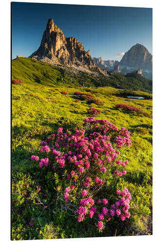 Aluminium print Dolomites - Summer II