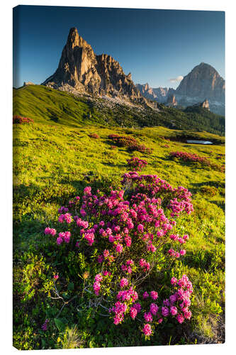 Canvastavla Dolomites - Summer II