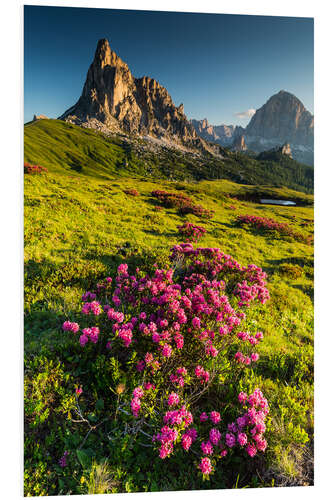 Foam board print Dolomites - Summer II