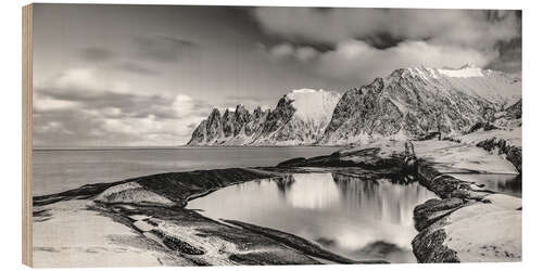 Wood print Arctic shore - Northern Norway (monochrome)