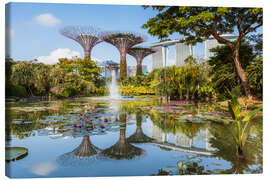 Canvas print The Supertree grove of Singapore