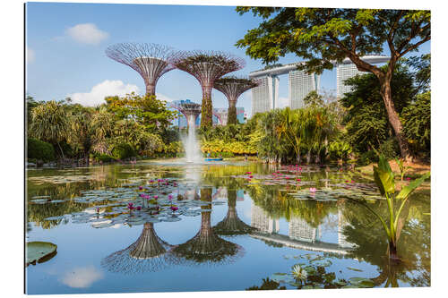 Galleriataulu The Supertree grove of Singapore