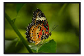 Gerahmter Kunstdruck Leoparden Spitzenflügel