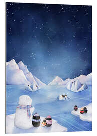 Magnettafel Sterne der Antarktis