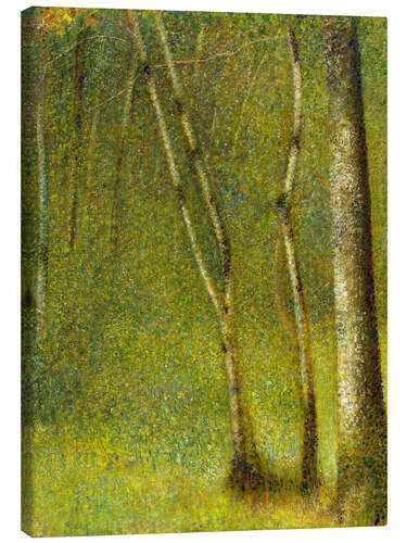 Leinwandbild Der Wald bei Pontaubert