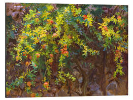 Magnettafel Granatäpfel