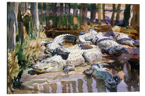 Aluminium print Muddy Alligators