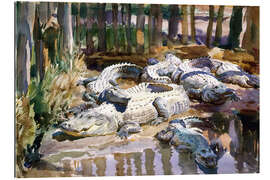 Galleriprint Muddy Alligators