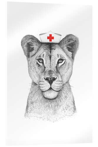 Acrylic print Lioness as a nurse