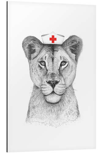 Aluminiumtavla Lioness as a nurse