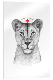 Gallery print Lioness as a nurse