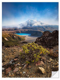 Sisustustarra Ruapehu