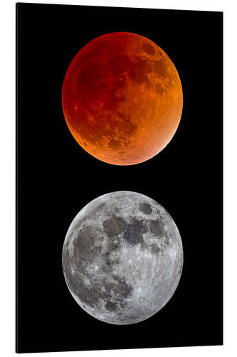 Cuadro de aluminio blood moon-super moon-full moon