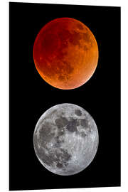 Foam board print blood moon-super moon-full moon