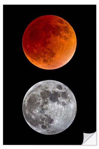 Selvklebende plakat blood moon-super moon-full moon