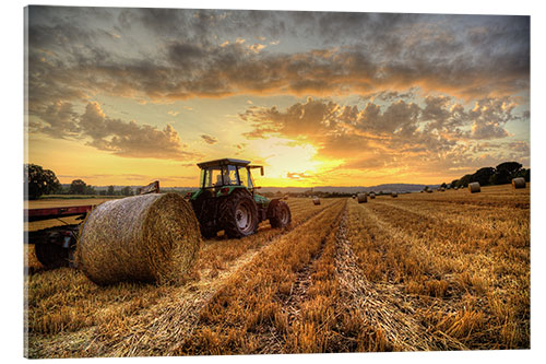 Akryylilasitaulu Harvested Cornfield Sunset