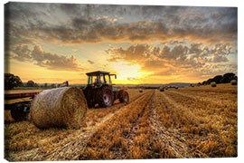 Leinwandbild Harvested Cornfield Sunset