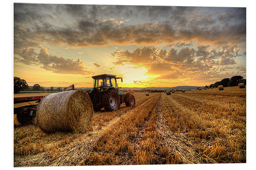 PVC-taulu Harvested Cornfield Sunset