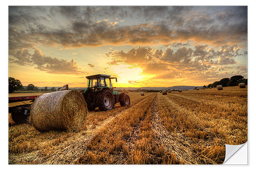 Selvklebende plakat Harvested Cornfield Sunset