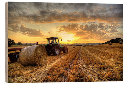 Stampa su legno Harvested Cornfield Sunset