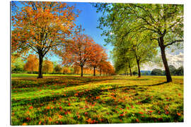 Gallery print Autumn Trees Windsor