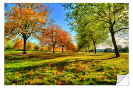 Selvklebende plakat Autumn Trees Windsor