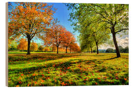 Quadro de madeira Autumn Trees Windsor